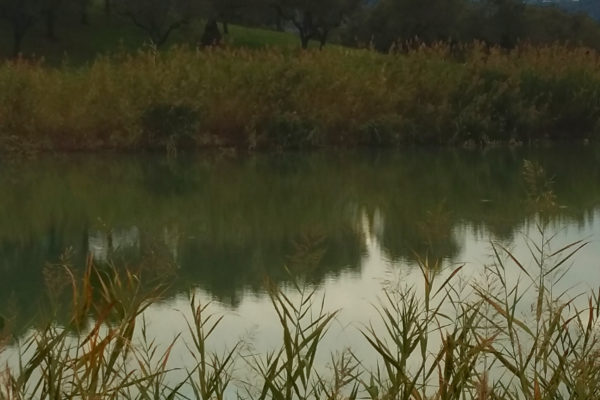 ScorcioCamicia_lago